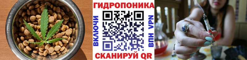 Canna-Cookies марихуана  Котлас 